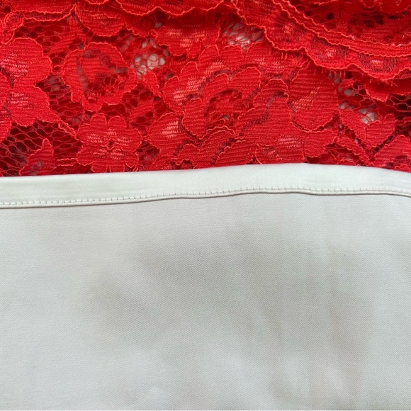 Arrogant Cat London Red Crochet Lace Bodycon Dress, Size 10, Excellent Condition - Picture 7 of 12